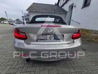2015 BMW 220