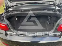 2015 BMW 220
