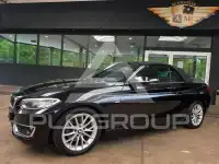 2015 BMW 220