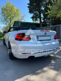 2015 BMW 220