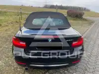 2015 BMW 220