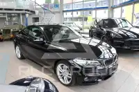 2015 BMW 220
