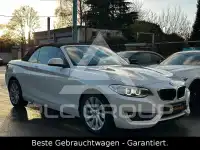 2015 BMW 220