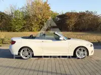 2015 BMW 220
