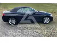 2015 BMW 220