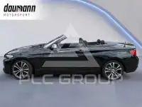 2015 BMW 220
