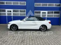 2015 BMW 220