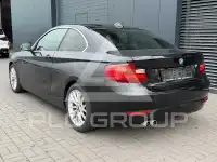 2015 BMW 220