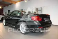2015 BMW 220