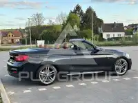 2015 BMW 220