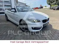 2015 BMW 220