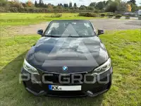 2015 BMW 220