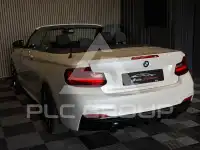 2015 BMW 220