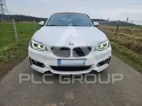 2015 BMW 225