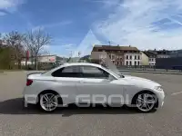 2015 BMW 220