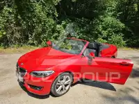 2015 BMW 218