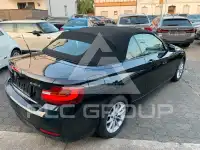 2015 BMW 218