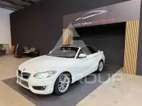 2015 BMW 218