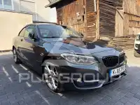 2015 BMW 218