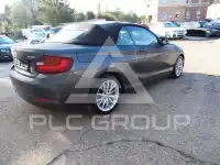 2015 BMW 218
