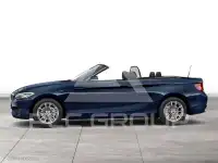2015 BMW 218