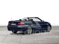 2015 BMW 218