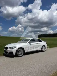2015 BMW 228