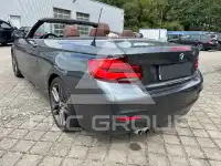 2015 BMW 228