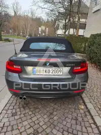 2015 BMW 228