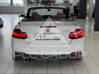 2015 BMW 228