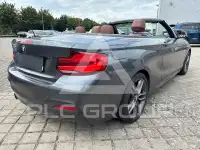 2015 BMW 228