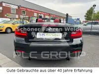 2015 BMW M2