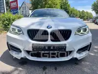 2015 BMW M2