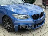 2015 BMW 235M