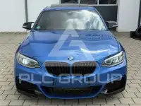 2015 BMW 235M
