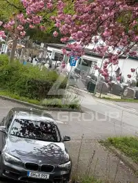 2015 BMW 120