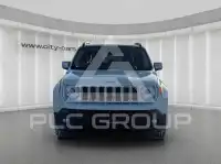 2015 Jeep Renegade
