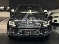 2015 Audi SQ5