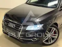 2015 Audi SQ5