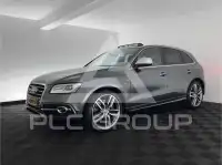 2015 Audi SQ5