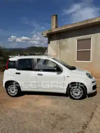 2015 Fiat Panda