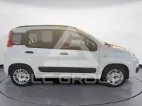 2015 Fiat Panda