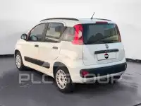 2015 Fiat Panda