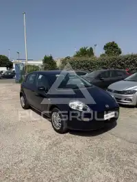 2015 Fiat Punto