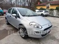 2015 Fiat Punto