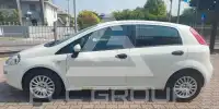 2015 Fiat Punto