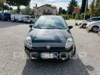 2015 Fiat Punto