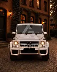 2015 Mercedes Benz G 63