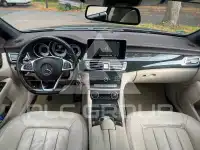 2015 Mercedes Benz CLS 250