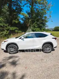 2015 Lexus NX300